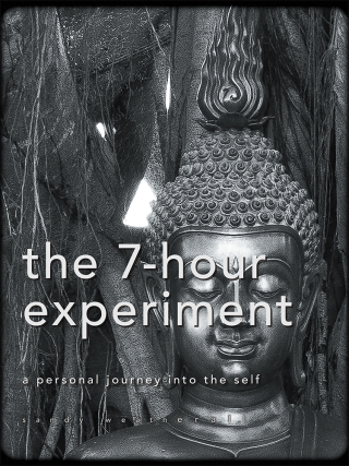 表紙画像: The 7-Hour Experiment 9781982224707