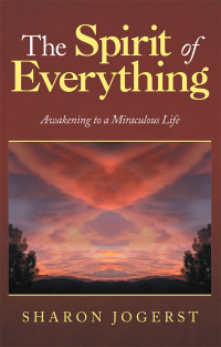 Cover image: The Spirit of Everything 9781982226084