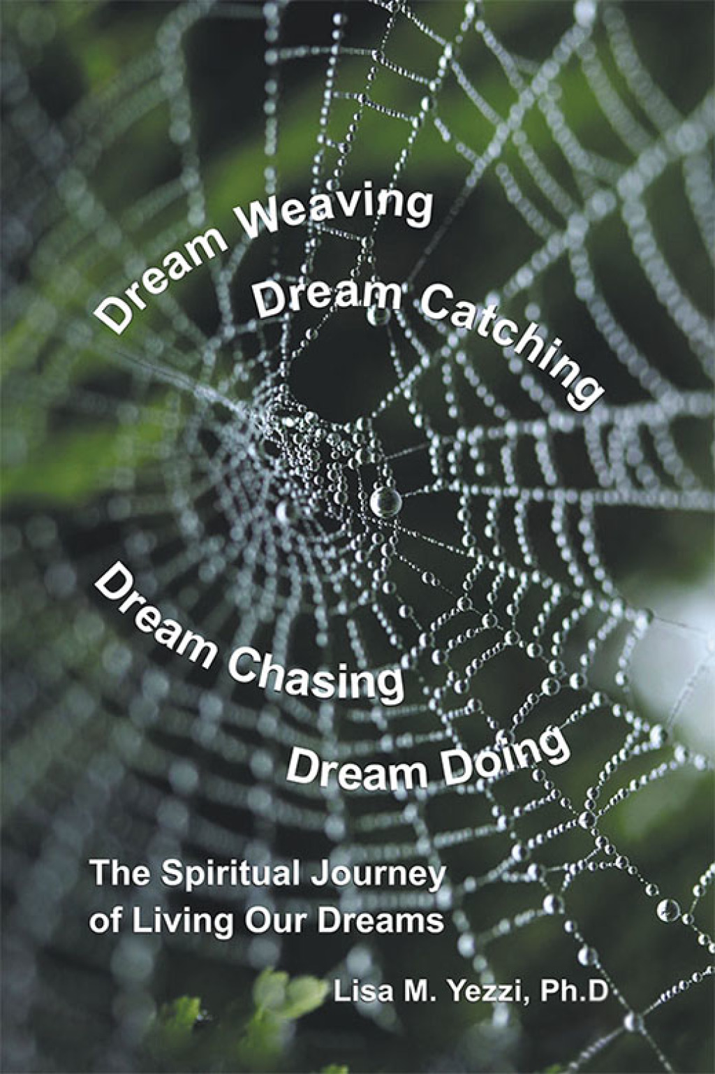 Dream Weaving  Dream Catching  Dream Chasing  Dream Doing eBook