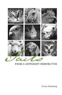 Imagen de portada: Tails from a Different Perspective 9781982233013