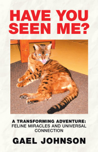 Cover image: Have You Seen Me? 9781982233129