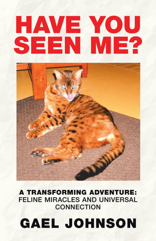Cover image: Have You Seen Me? 9781982233129