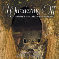 Cover image: Wandering Off 9781982233488