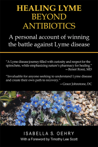 Imagen de portada: Healing Lyme Beyond Antibiotics 9781982239220