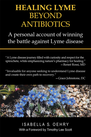 Cover image: Healing Lyme Beyond Antibiotics 9781982239220
