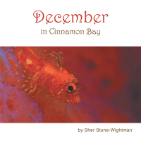 Cover image: December in Cinnamon Bay 9781982241551