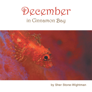 Cover image: December in Cinnamon Bay 9781982241551