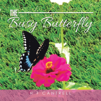 Cover image: The Busy Butterfly 9781982250447