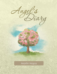 表紙画像: Angel’s Diary 9781982253493