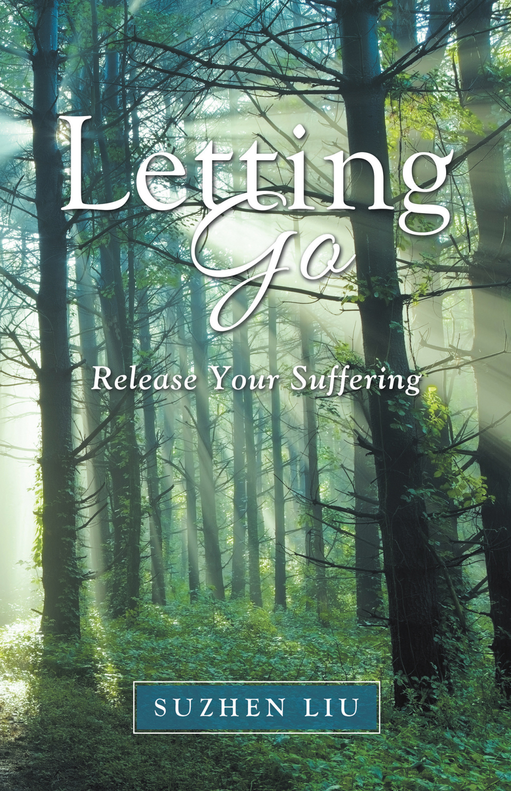 Letting Go eBook