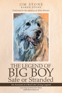 Cover image: The Legend of Big Boy Safe or Stranded 9781982260385