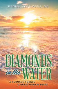 Omslagafbeelding: Diamonds in the Water 9781982261290