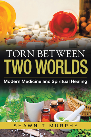 Cover image: Torn Between Two Worlds 9781982270025