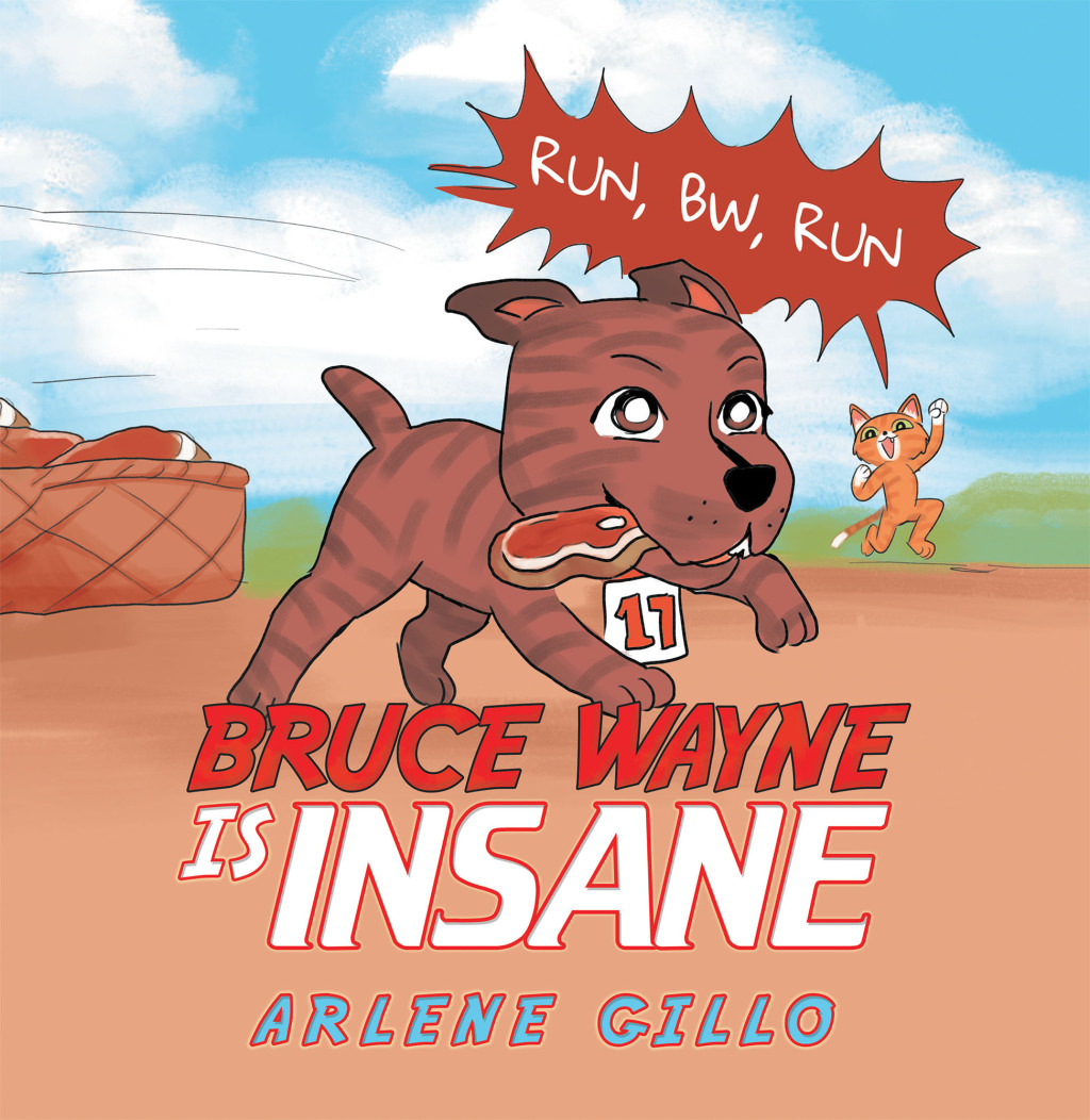 Bruce Wayne Is Insane eBook
