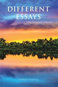 Imagen de portada: Different Essays 9781982290085