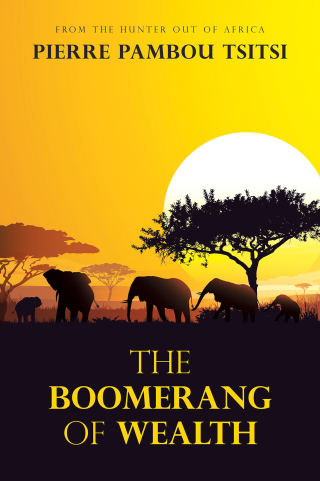 Omslagafbeelding: The Boomerang of Wealth 9781982297213