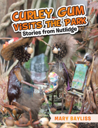 Cover image: Curley Gum Visits The Park 9781982298739