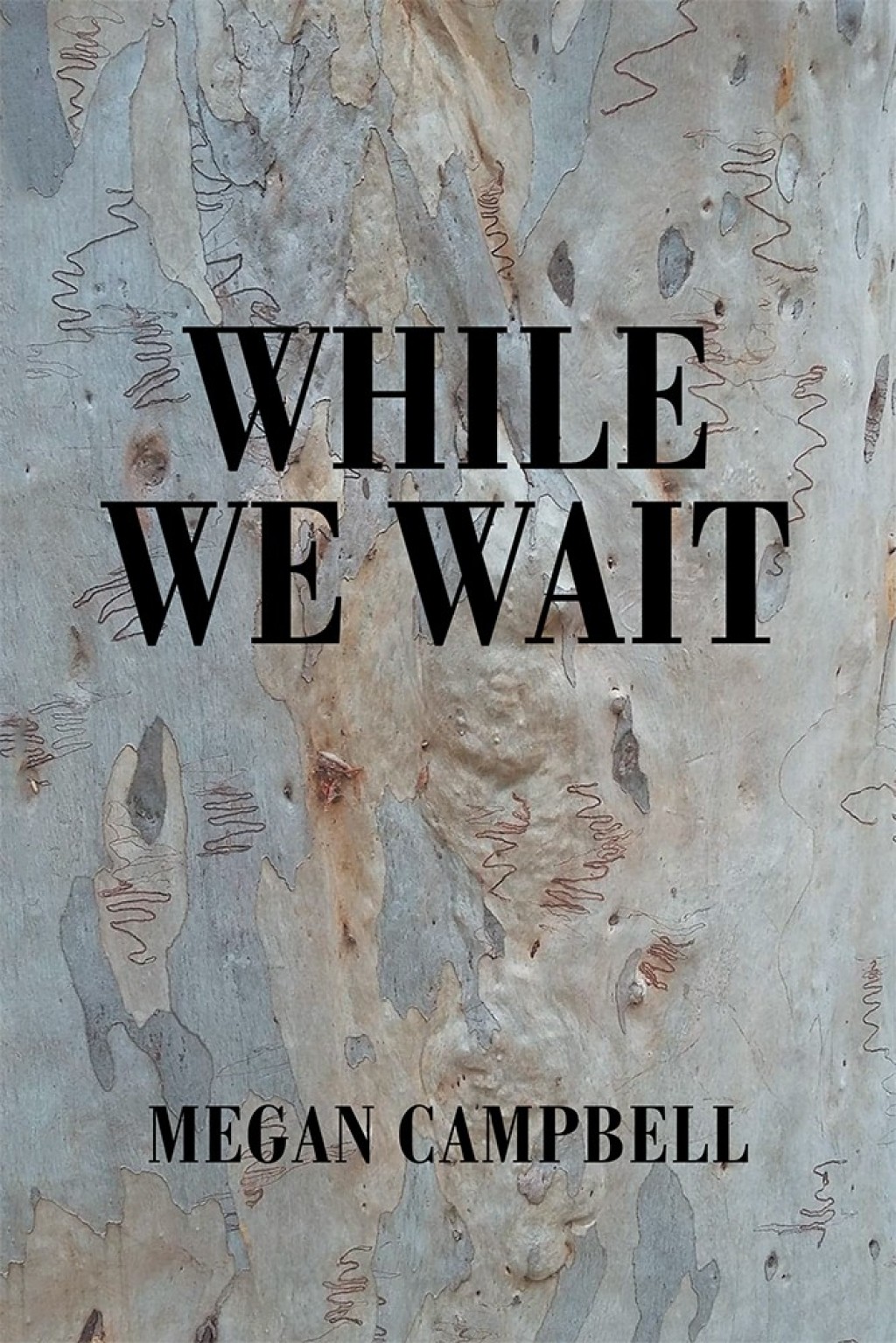 While We Wait (eBook)