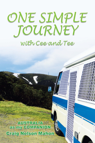 Cover image: One Simple Journey with Cee and Tee 9781984507150