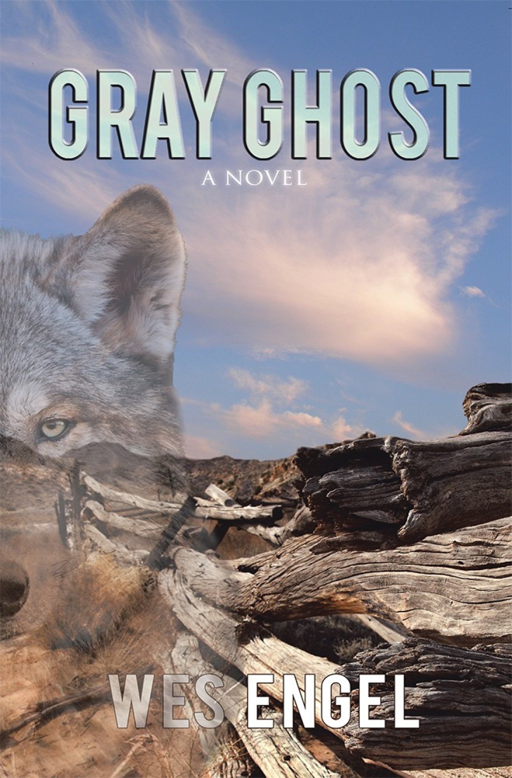 Gray Ghost (eBook)