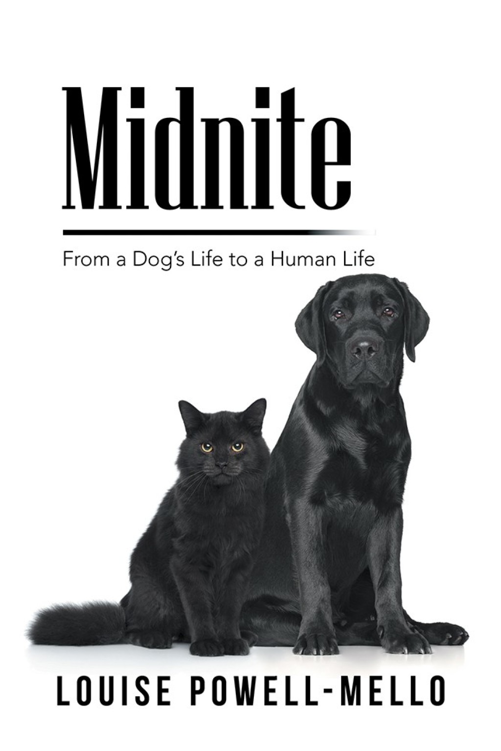 Midnite From a Dog’s Life to a Human Life