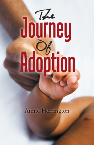 Cover image: The Journey of Adoption 9781984536563