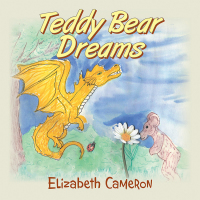 表紙画像: Teddy Bear Dreams 9781984537126