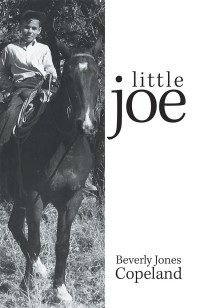 Titelbild: Little Joe 9781984547286