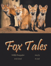 Cover image: Fox Tales 9781984548238