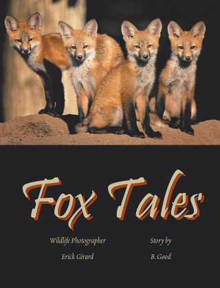 Imagen de portada: Fox Tales 9781984548238