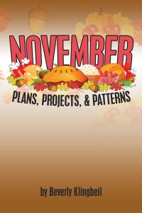 Cover image: November Plans, Projects, & Patterns 9781984556141