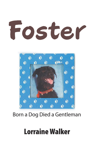Imagen de portada: Foster 9781984556950