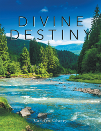 Cover image: Divine Destiny 9781984559227