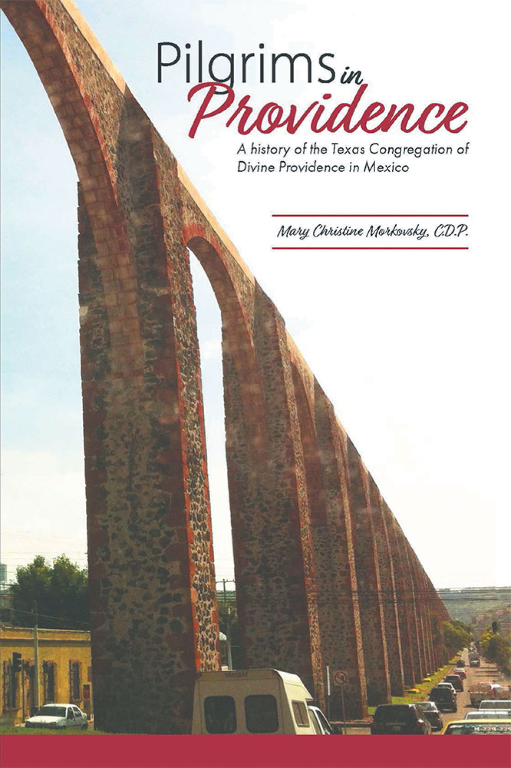 Pilgrims in Providence A History of the Mexico Region of the Congregation of Divine Providence of San Antonio, Texas