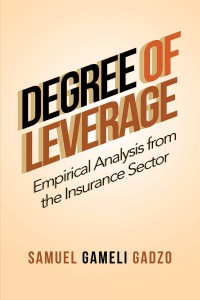 Cover image: Degree of Leverage 9781984564702