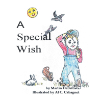 Cover image: A Special Wish 9781984565778