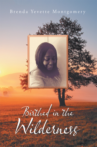 Imagen de portada: Birthed in the Wilderness 9781984569868