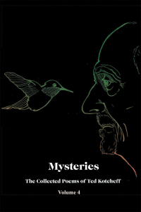 Omslagafbeelding: Mysteries 9781984570819