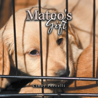 Cover image: Mateo's Gift 9781984570932