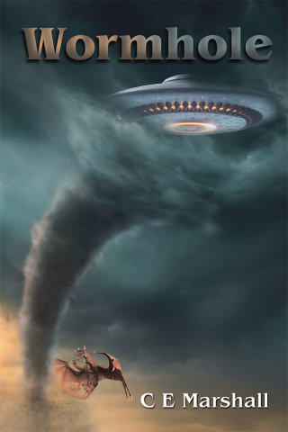 Imagen de portada: Wormhole 9781984591333