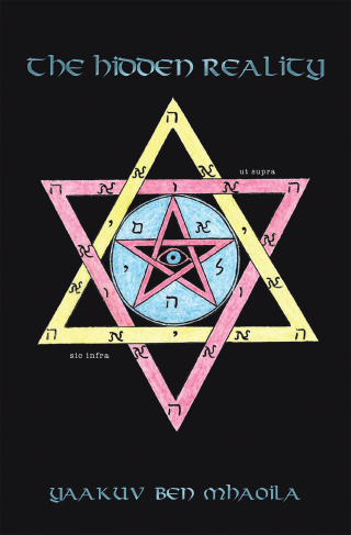Titelbild: The Hidden Reality 9781984591418