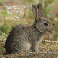 Imagen de portada: The Rabbits of West Warren Hill 9781984594389