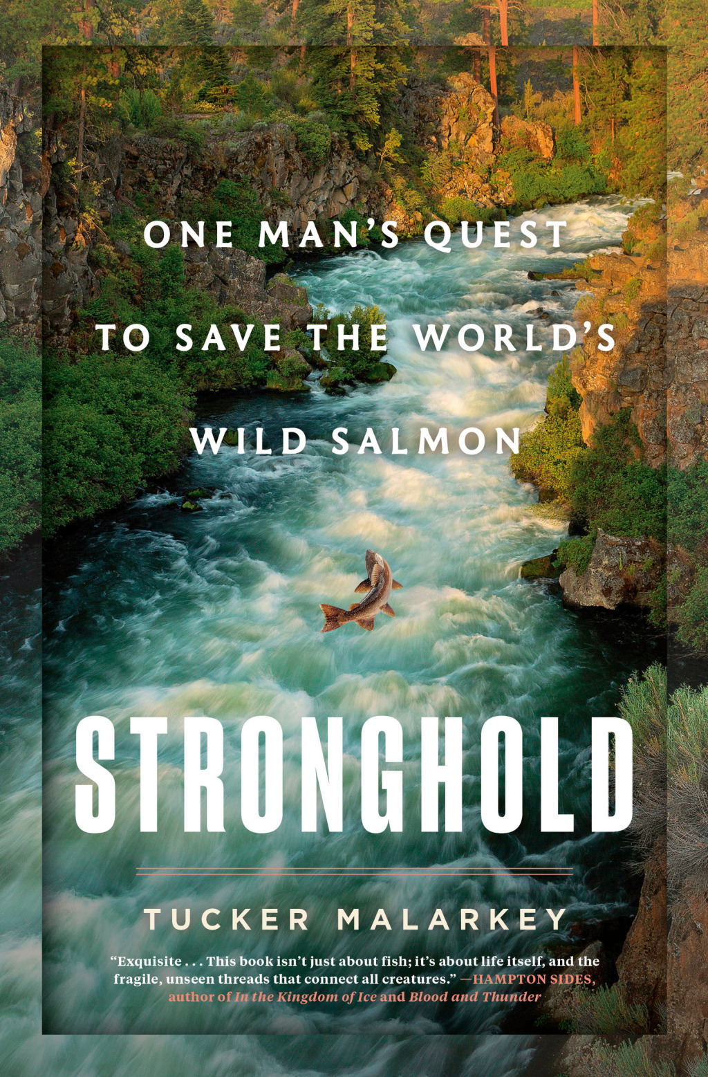Stronghold (eBook)