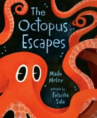 Cover image: The Octopus Escapes 9781984812698