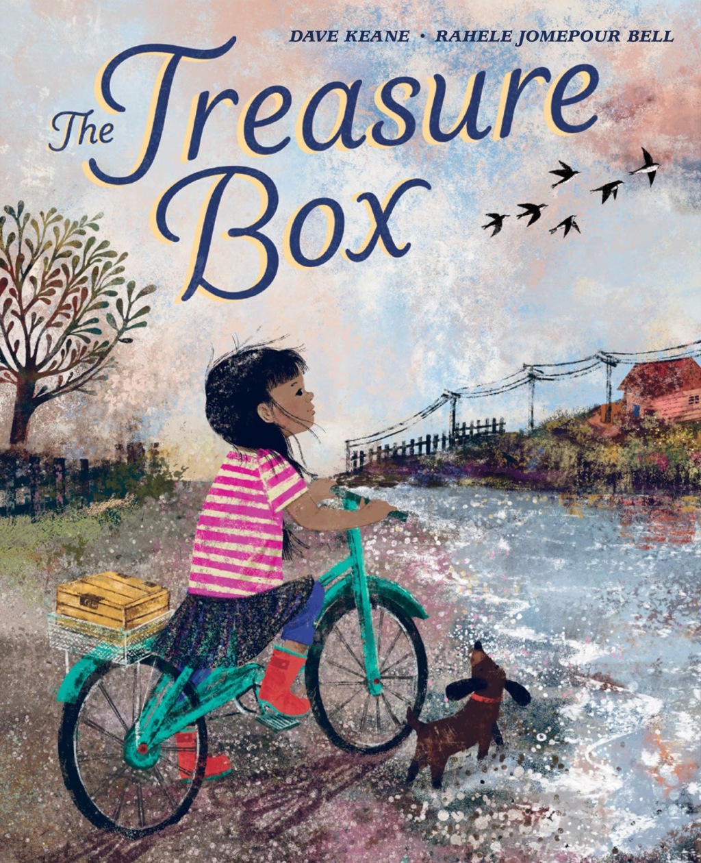 The Treasure Box eBook