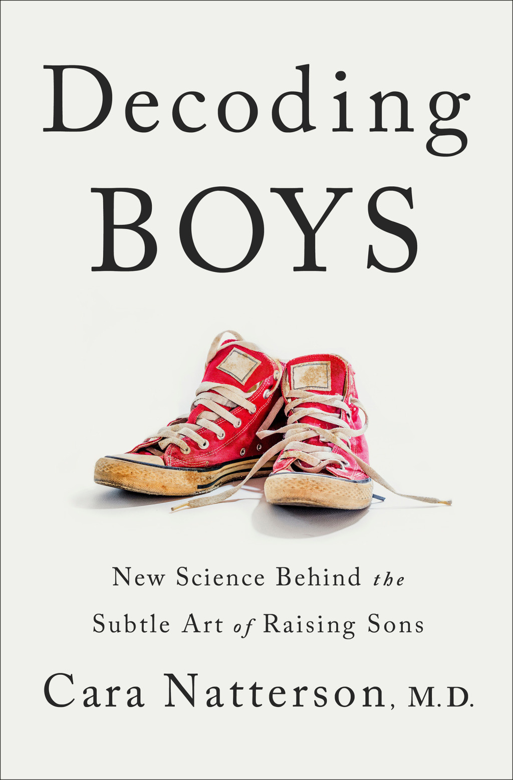 Decoding Boys (eBook)