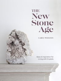Cover image: The New Stone Age 9781984856593