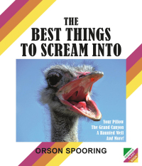 Cover image: The Best Things to Scream Into 9781984859600