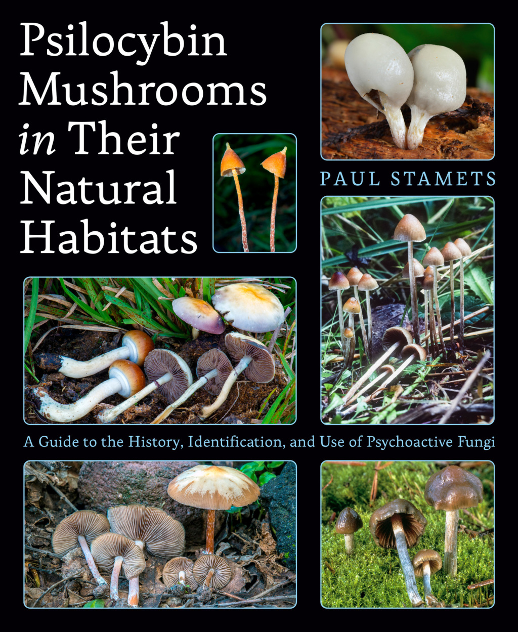 Psilocybin Mushrooms in Their Natural Habitats A Guide to the History, Identification, and Use of Psychoactive Fungi