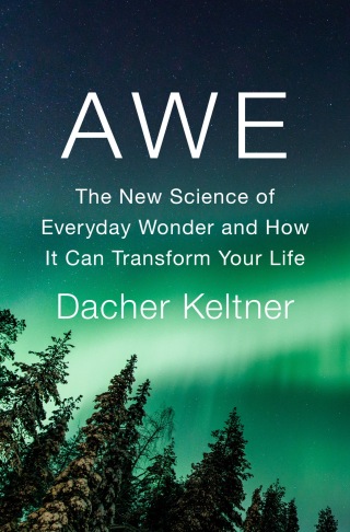 Cover image: Awe 9781984879684